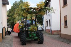 2009-Kerwe-059